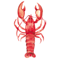 Fruit de mer aquarelle Homard coquille poisson png