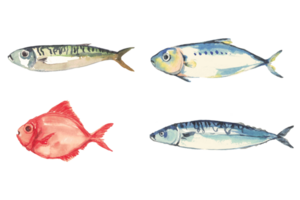 seafood watercolor lobster shell fish png