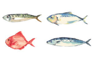 Meeresfrüchte Aquarell Hummer Schale Fisch png