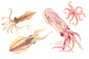 Meeresfrüchte Aquarell Hummer Schale Fisch png