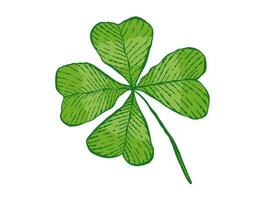 Green four-leaf clover. Good luck clover. Vector isolated image of four  leaf clover. Saint patrick's day symbol. 21359080 Vector Art at Vecteezy