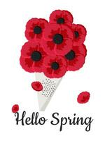 Red poppies in a bouquet is isolated on a white background with the inscription Hello Spring. Vector. vector