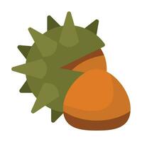 Chestnut Flat Icon vector