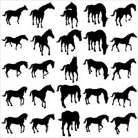 Bundle of assorted horse silhouette illustrations vector