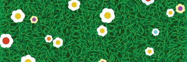 lawn grass with flowers vector