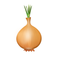 fresh onion vegetables png