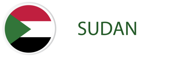 Sudan flag in button web. png