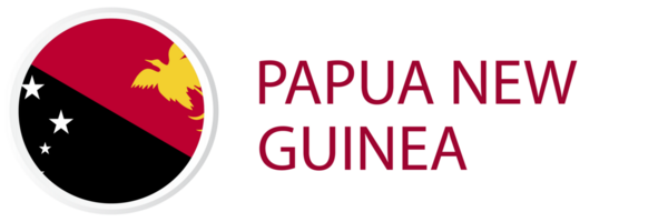 papua Novo Guiné bandeira dentro rede botão, botão ícones. png