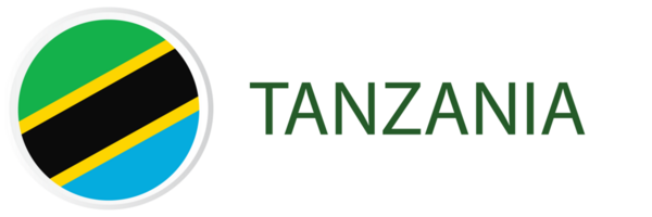 Tanzania flag in button web. png
