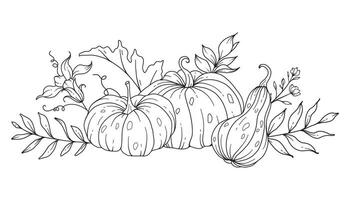 Pumpkins Line Art Illustration, Outline Pumpkin arrangement Hand Drawn Illustration. Coloring Page with Pumpkins.  Thanksgiving Pumpkins set. Thanksgiving Pumpkins set isolated on white vector