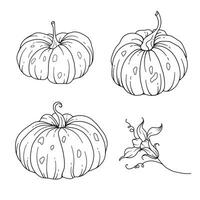 Pumpkins Line Art Illustration, Outline Pumpkin arrangement Hand Drawn Illustration. Coloring Page with Pumpkins.  Thanksgiving Pumpkins set. Thanksgiving Pumpkins set isolated on white vector