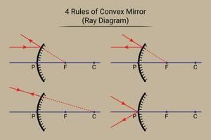 4 Rules of Convex Mirror. Ray Diagram vector