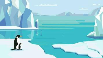 pingüino en el hielo con icebergs y montañas video