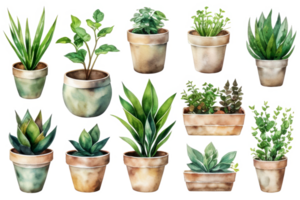 plantas dentro panelas em transparente background.generative ai. png