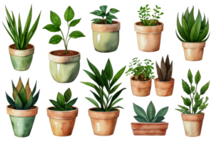 plantas dentro panelas em transparente background.generative ai. png