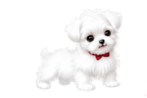 Cute maltese puppy on transparent background.Generative AI. png