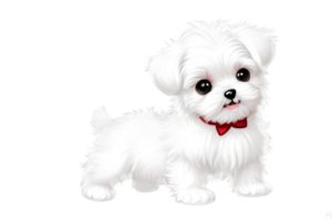 carino maltese cucciolo su trasparente background.generative ai. png