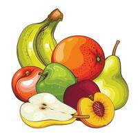 Fruit mix isolated vector illustration. Fruits colorful illustrations isolated on white background.  Fruit collection.