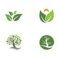 Logos of green Tree leaf ecology vector