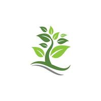 Logos of green Tree leaf ecology vector