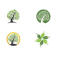 logotipos de la ecología de la hoja del árbol verde vector
