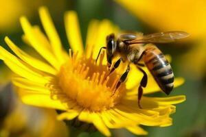 Bee flower population. Generate Ai photo