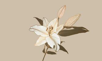 Lily flower linear drawing with bronze metallic outline colored in neutral brown, white, pink. Design for print, poster, cover, banner, fabric, invitation, postcard and packaging. Digital vector art.