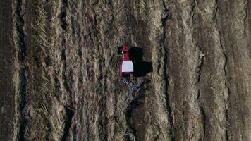 Top view of a tractor collecting hay in hay season on mowed meadow video