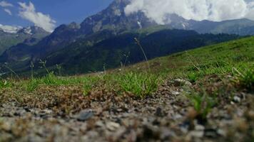 View of summer green grass in mountain valley with green forest, mountains and sky with clouds on the background video