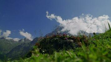 Visão do verão verde Relva dentro montanha vale com verde floresta, montanhas e céu com nuvens em a fundo video