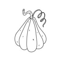 Cute pumkin. Hand drawn doodle style. Vector illustration isolated on white. Coloring page. Thanksgiving.