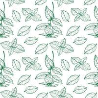 Basil plant seamless pattern drawing vector illustration repeating background. Decorative ornament with basil leaves branch, fragrant herb, spice,. For design, card, textile, print, paper, wrapping