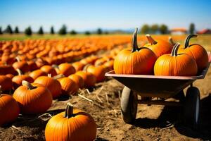 A scenic pumpkin patch with a wheelbarrow filled with colorful pumpkins background with empty space for text photo