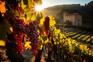 A picturesque vineyard adorned in fiery red and golden foliage invites wine enthusiasts to indulge in a captivating autumn tasting experience photo