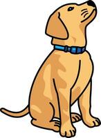 dog vectorized, illustration, animated, blue collar, domestic animal, brown vector