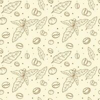 Coffee Beans Seamless Pattern Background vector