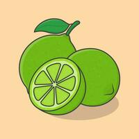 Slice And Whole Of Lime Cartoon Vector Illustration. Lime Fruit Flat Icon Outline