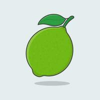 Lime Fruit Cartoon Vector Illustration. Fresh Lime Fruit Flat Icon Outline