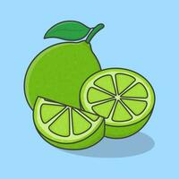 Lime Fruit Cartoon Vector Illustration. Slice And Whole Of Lime Flat Icon Outline