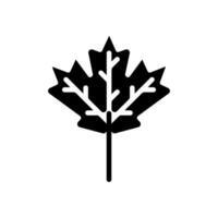 maple leaf icon solid style vector