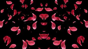 Rose Petals floating and Falling animation with alpha channel video