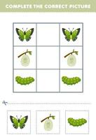 Education game for children complete the correct picture of a cute cartoon butterfly cocoon and caterpillar printable bug worksheet vector