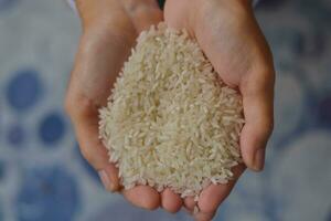 Raw rice held by asian woman's hand. Uncooked rice in hand photo