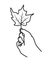 hand holding fall leaf autumn illustration vector