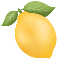 Hand drawn cute art lemon fruit png