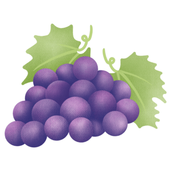 mão desenhado fofa arte uva fruta png