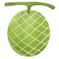 Hand drawn cute art cantaloupe fruit png