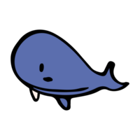 Illustration of blue whale png