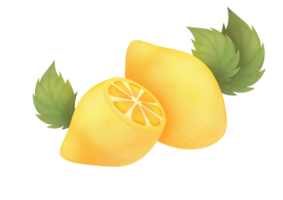 traditional medicine, drinking tea with lemon to strengthen immune system. Watercolor Lemons on transparent background. source of vitamin C in citrus fruits. Fresh Ingredient for homemade lemonade png