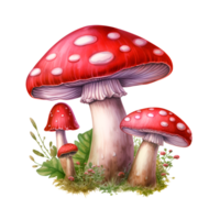 Mushroom Fungi Watercolor Clipart AI Generated png